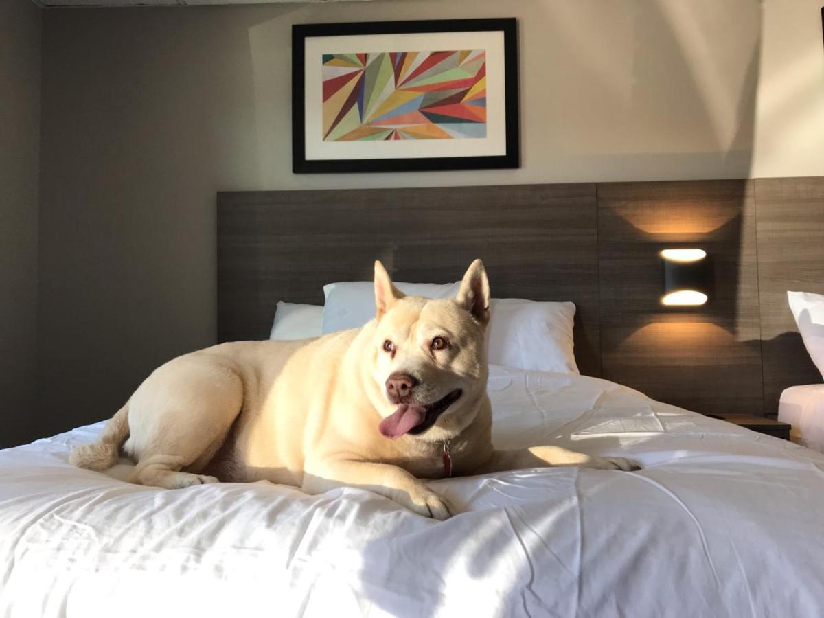 The Elmwood Motel Уотървил Екстериор снимка